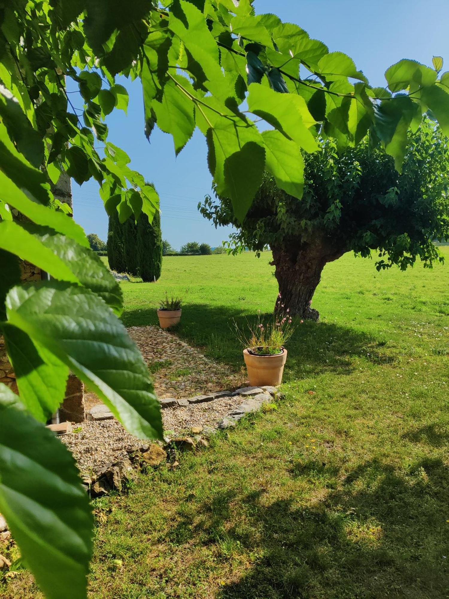L'Etoffe, Charmante Chambre Dans Un Mas Cevenol Boisset-et-Gaujac Esterno foto