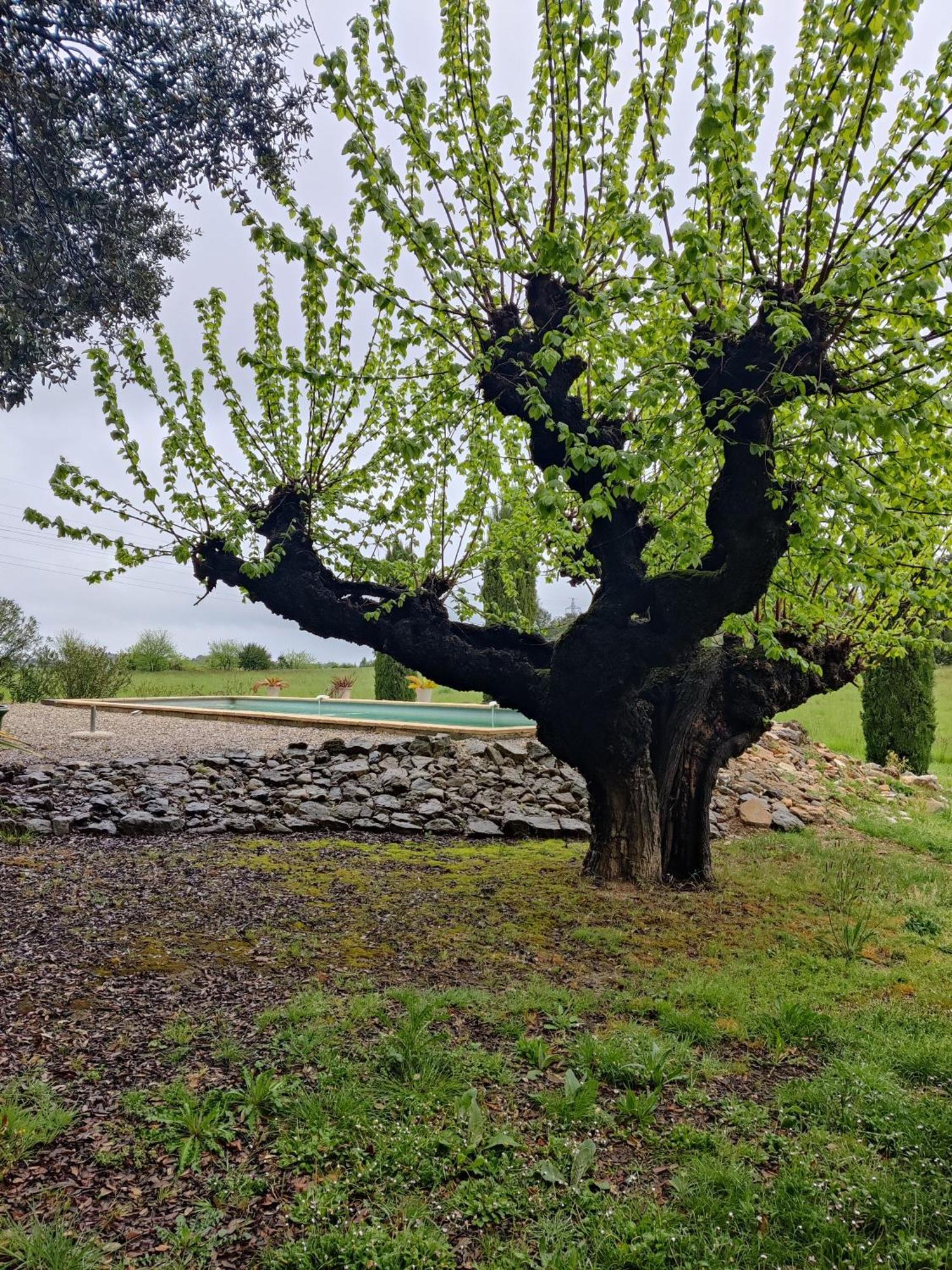 L'Etoffe, Charmante Chambre Dans Un Mas Cevenol Boisset-et-Gaujac Esterno foto